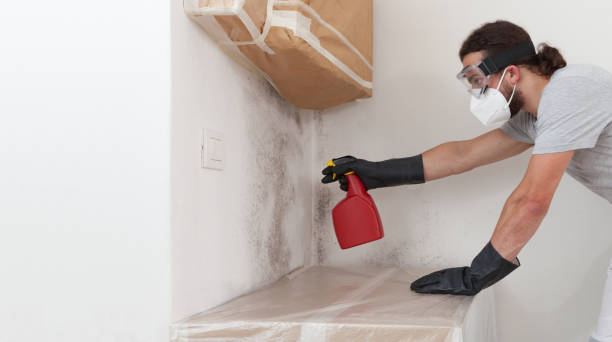 Professional Mold Removal technician working in Acton, MA