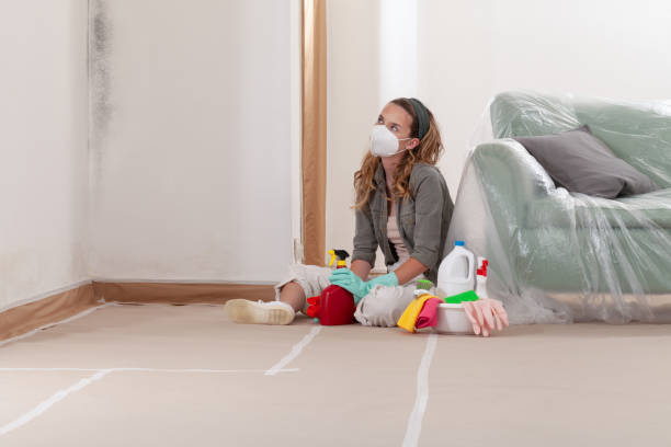 Reliable Mold Removal contractor in Acton, MA by WQB Mold Removal